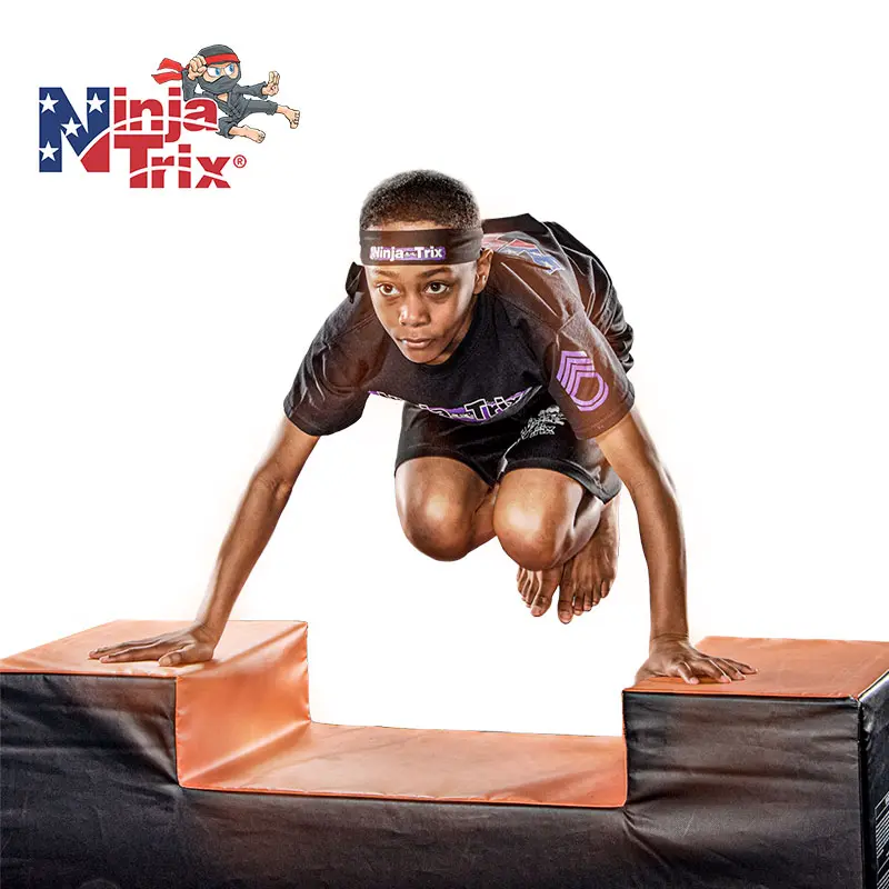 Ninja Trix Parkour Martial Arts Program
